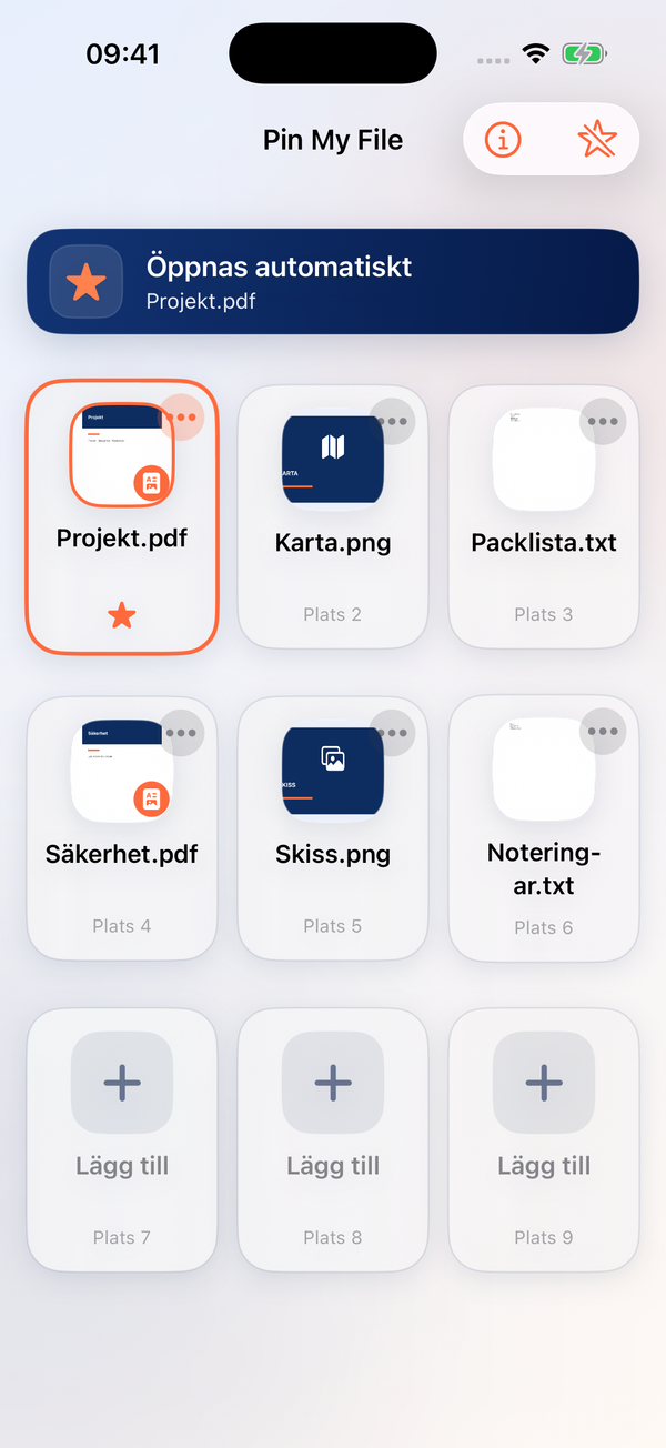 Projekt.pdf är vald. Stjärnan och informationsrutan bekräftar valet.