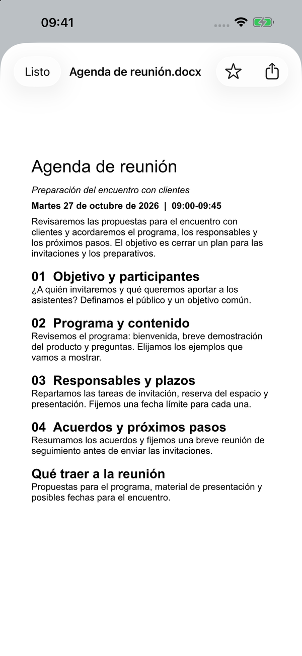 Un orden del día de ejemplo en formato Word abierto en el iPhone.